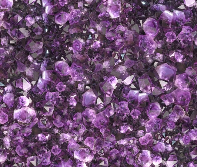 Wild Wallpaper Patterns
